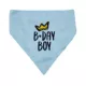 Product Hip Doggie Birthday Boy Reversible Scrunchy Dog Bandana