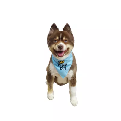 Product Hip Doggie Birthday Boy Reversible Scrunchy Dog Bandana