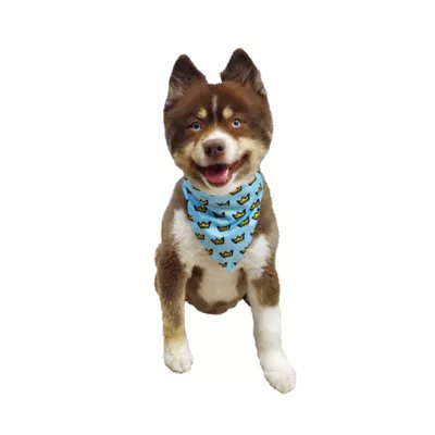 Product Hip Doggie Birthday Boy Reversible Scrunchy Dog Bandana