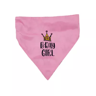 Hip Doggie Birthday Girl Reversible Scrunchy Dog Bandana - Image 1