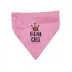 Hip Doggie Birthday Girl Reversible Scrunchy Dog Bandana image thumbnail 1