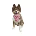 Hip Doggie Birthday Girl Reversible Scrunchy Dog Bandana image thumbnail 4