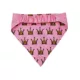 Product Hip Doggie Birthday Girl Reversible Scrunchy Dog Bandana