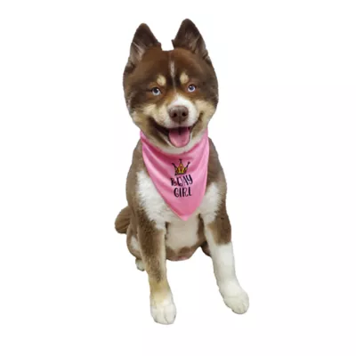 Product Hip Doggie Birthday Girl Reversible Scrunchy Dog Bandana