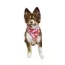 Hip Doggie Love Reversible Scrunchy Dog Bandana image thumbnail 4