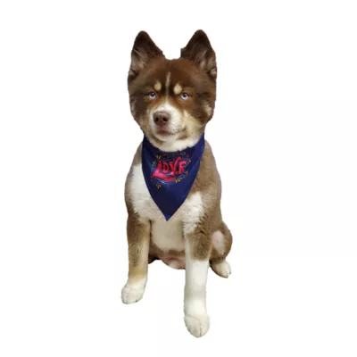 Product Hip Doggie Love Reversible Scrunchy Dog Bandana