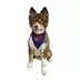 Hip Doggie Love Reversible Scrunchy Dog Bandana image thumbnail 3