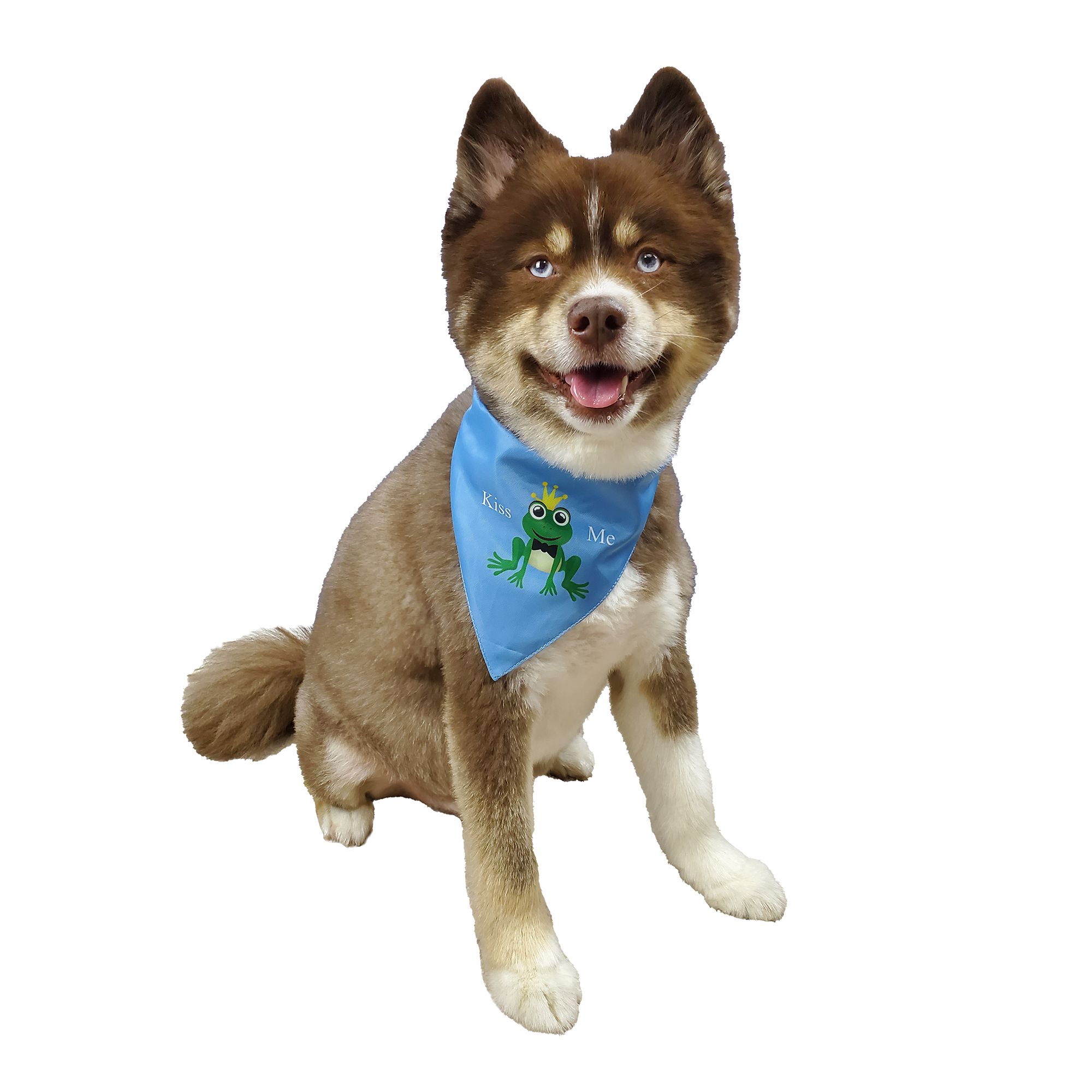 Dog bandanas petsmart best sale