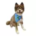 Hip Doggie Prince Reversible Scrunchy Dog Bandana image thumbnail 4