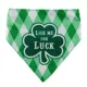 Product Hip Doggie St. Patrick's Day "Lick Me For Luck" Shamrock Reversible Scrunchy Dog Bandana