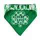 Product Hip Doggie St. Patrick's Day "Lick Me For Luck" Shamrock Reversible Scrunchy Dog Bandana