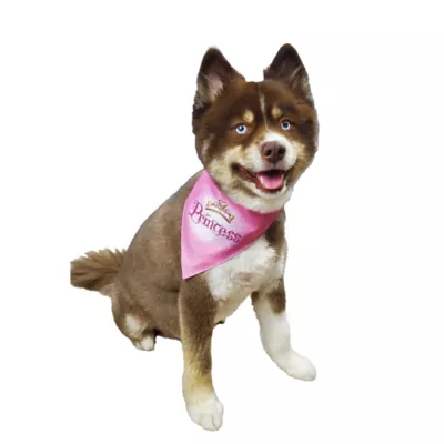 Hip Doggie Princess Reversible Scrunchy Dog Bandana - Image 3