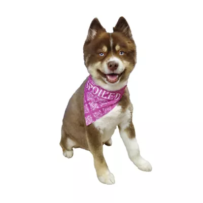 Hip Doggie Princess Reversible Scrunchy Dog Bandana - Image 4