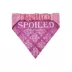 Hip Doggie Princess Reversible Scrunchy Dog Bandana image thumbnail 2