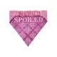 Product Hip Doggie Princess Reversible Scrunchy Dog Bandana