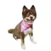 Hip Doggie Princess Reversible Scrunchy Dog Bandana image thumbnail 3