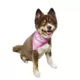 Product Hip Doggie Princess Reversible Scrunchy Dog Bandana