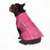 Hip Doggie Pink Hoodless Dog Raincoat with Lining image thumbnail 3