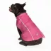 Hip Doggie Pink Hoodless Dog Raincoat with Lining image thumbnail 3