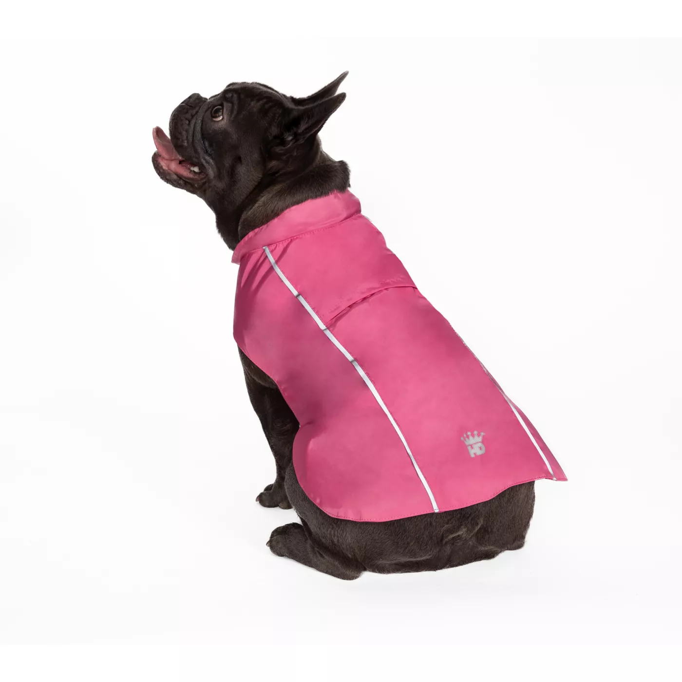 Dog rain poncho petsmart hotsell