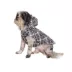 Hip Doggie Hooded Black & Tan Plaid Reversible Dog Raincoat image thumbnail 6