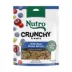 NUTRO Crunchy Adult Dog Treats - Mixed Berry image thumbnail 1