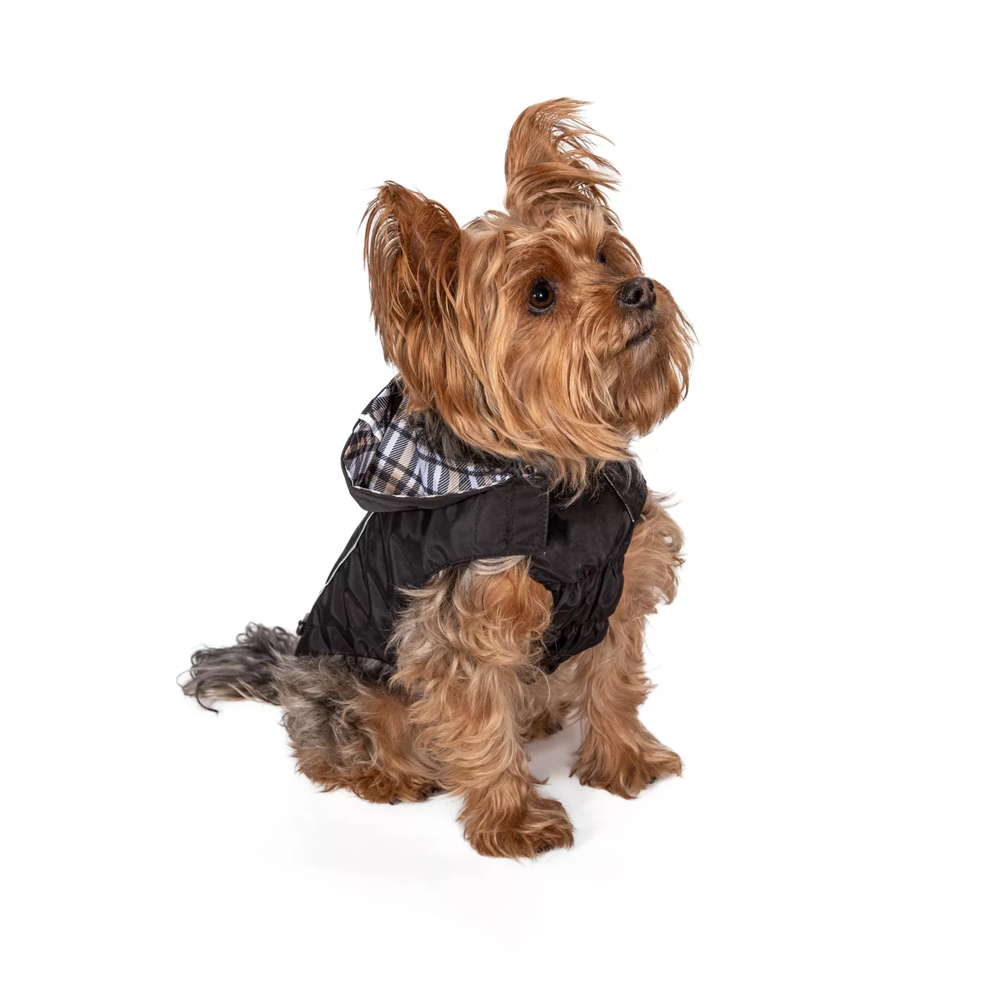 Hip doggie coats hotsell