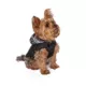 Product Hip Doggie Hooded Black & Tan Plaid Reversible Dog Raincoat