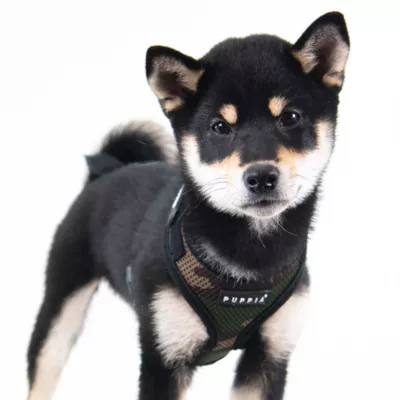 Puppia® Soft Superior "A" Dog Harness - Image 3