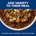 Hill's Science Diet Small & Mini 7+ Senior Wet Dog Food - Chicken & Barley Entree, 5.8 oz image thumbnail 8