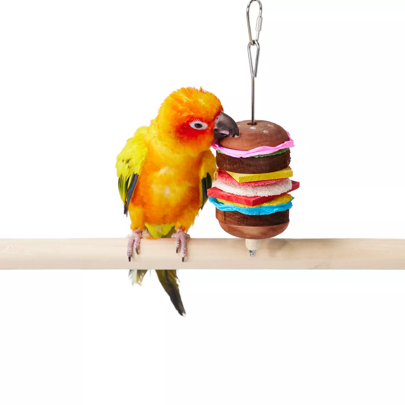 Product All Living Things® Hamburger Loofah Bird Toy