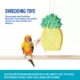 Product All Living Things® Pineapple Pinata Bird Toy