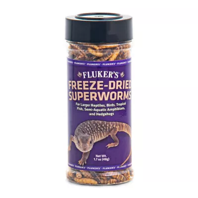 Product Fluker's® Freeze Dried Superworms