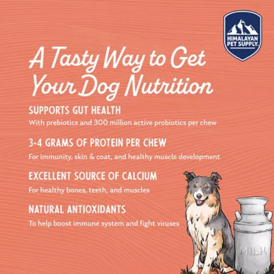Product Himalayan Chews Yogurt Sticks Dog Yak Chews Bacon 4.8 OZ