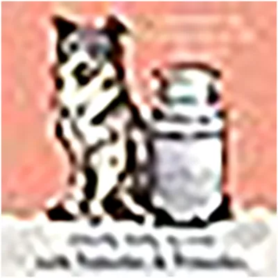 Product Himalayan Chews Yogurt Sticks Dog Yak Chews Bacon 4.8 OZ