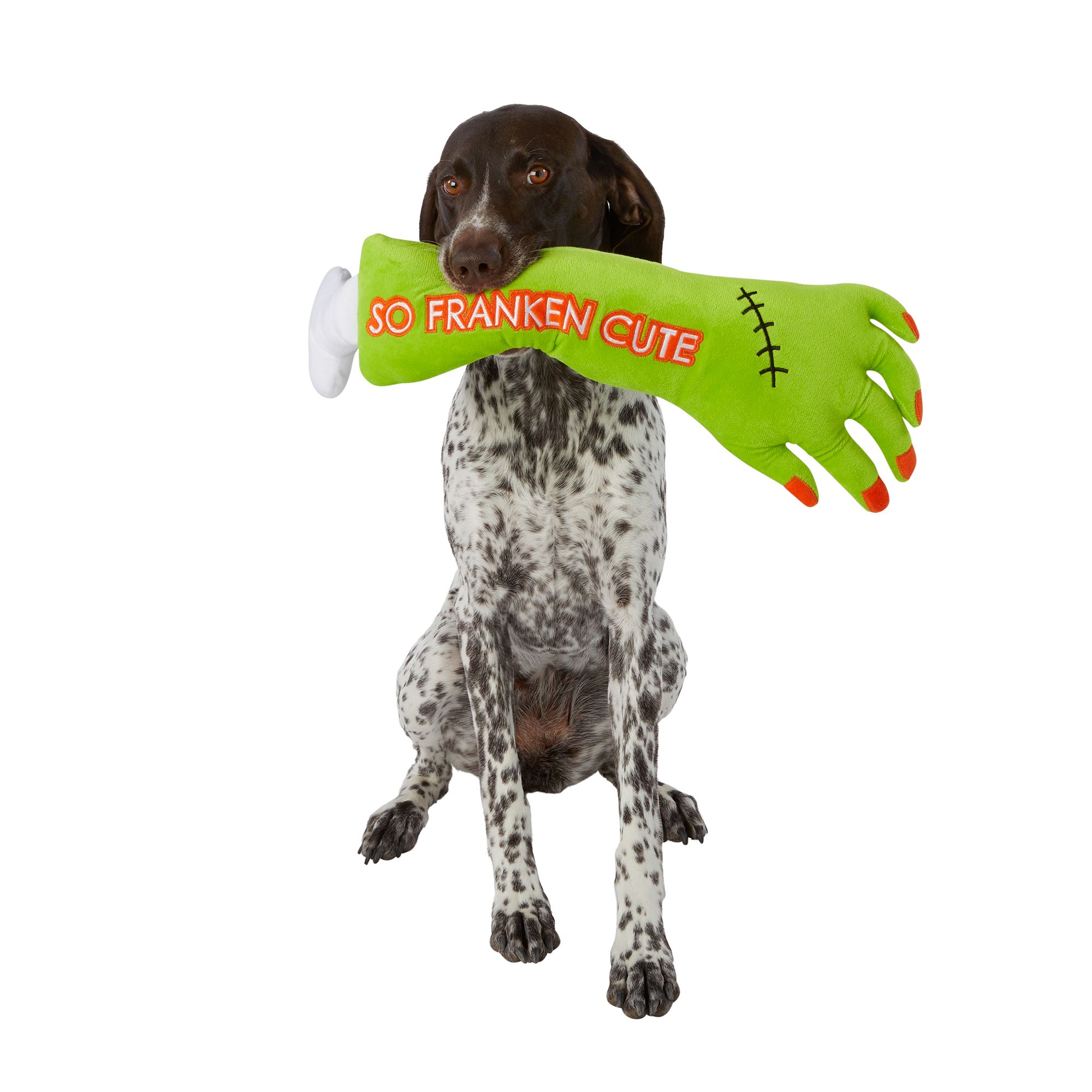 Dog & Puppy Toys: Indestructible Chew Toys, PetSmart