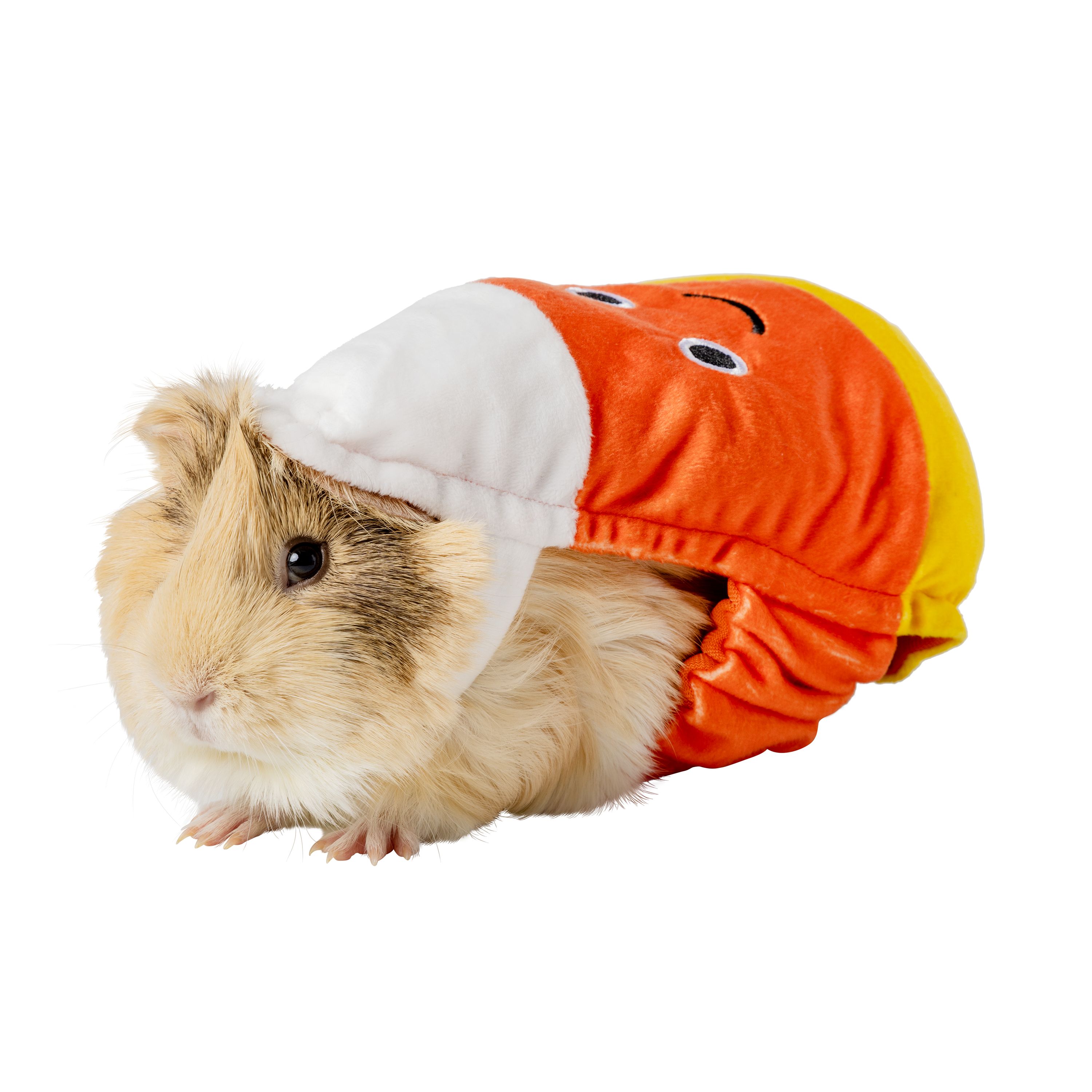 PetSmart has an adorable line of guinea pig Halloween costumes