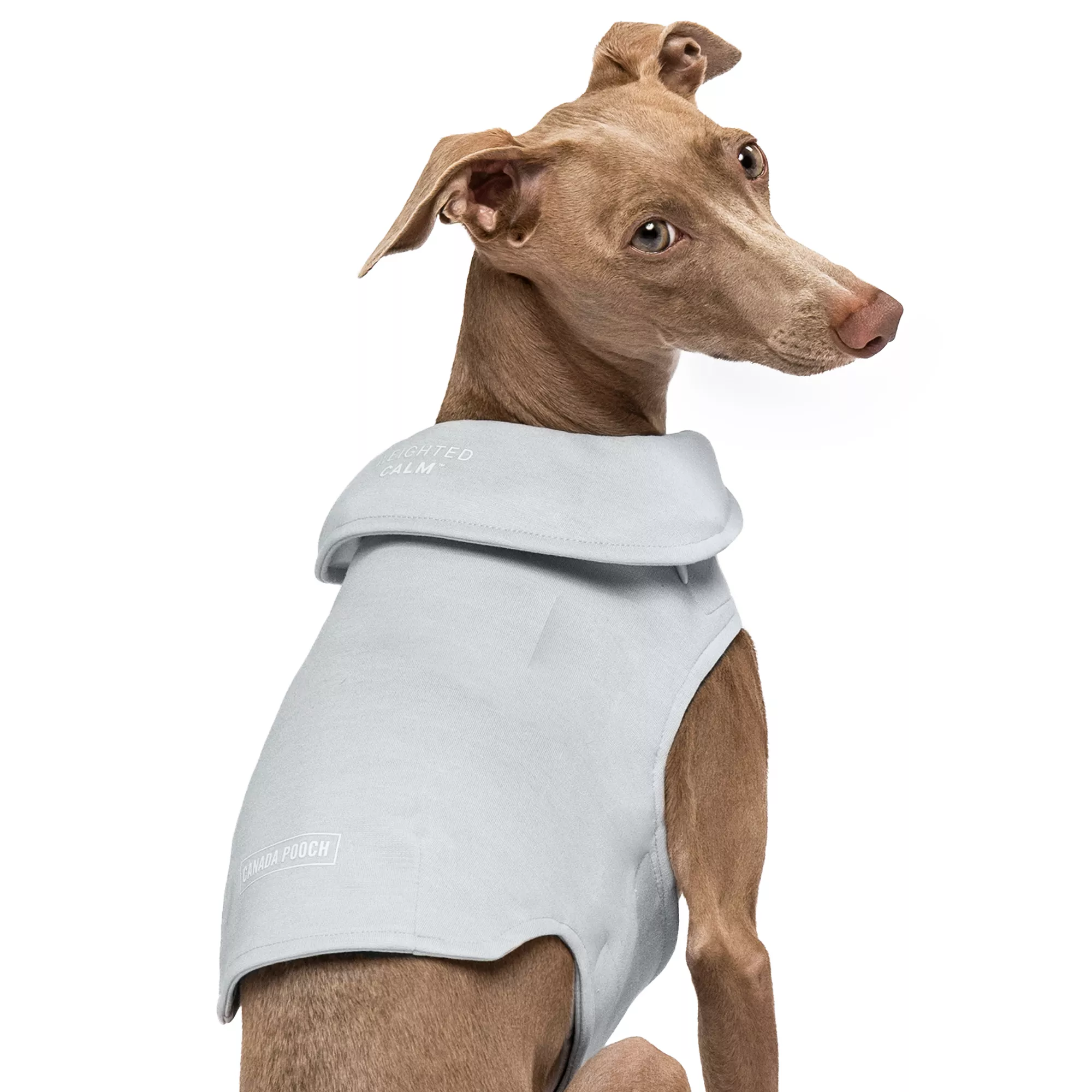 Canada Pooch Weighted Calming Vest - Grey