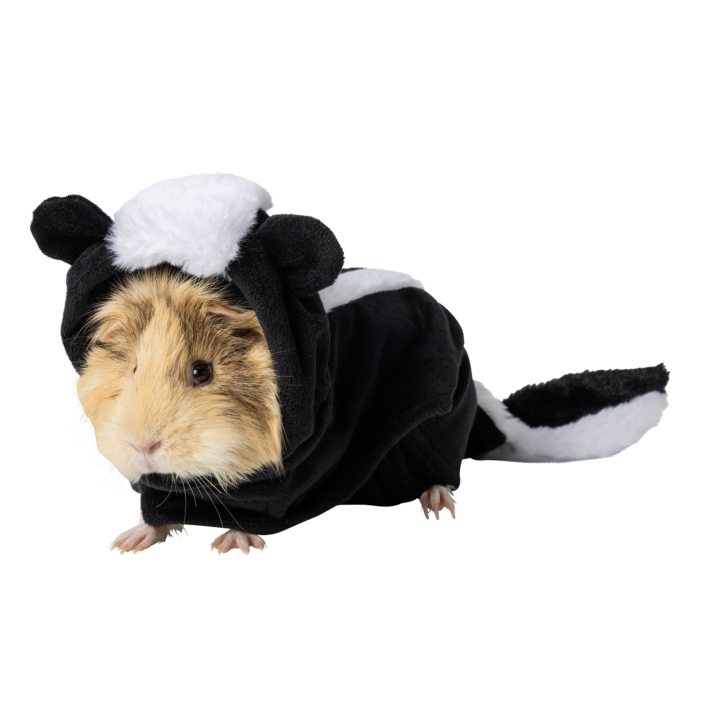 PetSmart has Halloween costumes for guinea pigs and they're the
