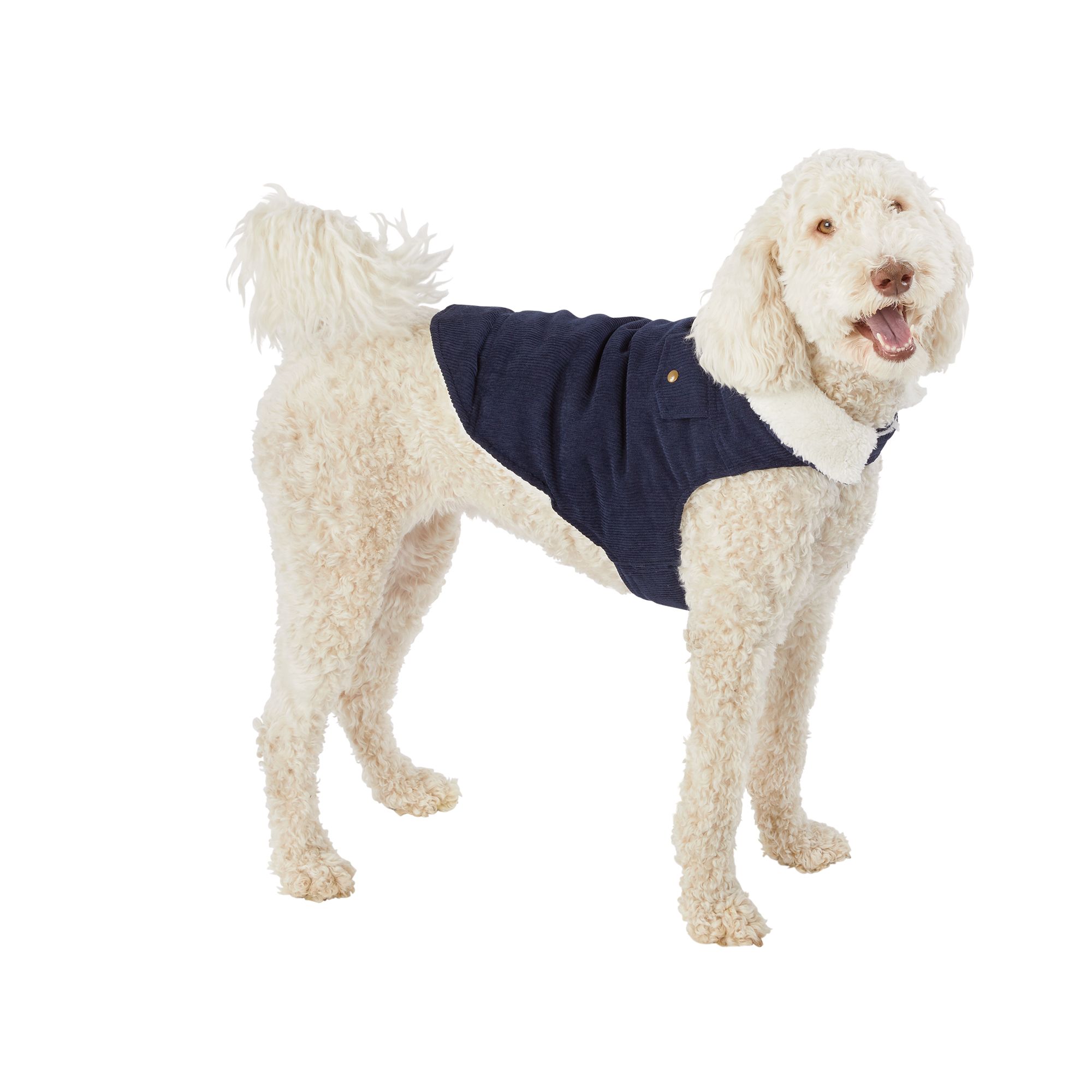 Top Paw® Corduroy Dog Coat dog Jackets & Coats PetSmart