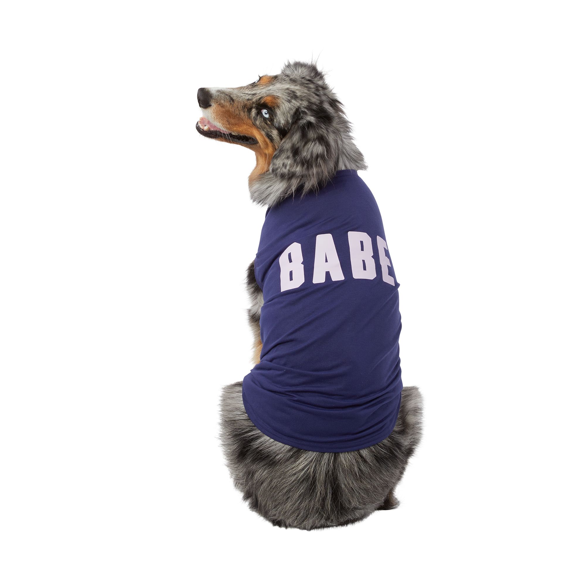 Top Paw® Back-To-School 'Babe' Dog Tee, dog T-shirts & Tank Tops