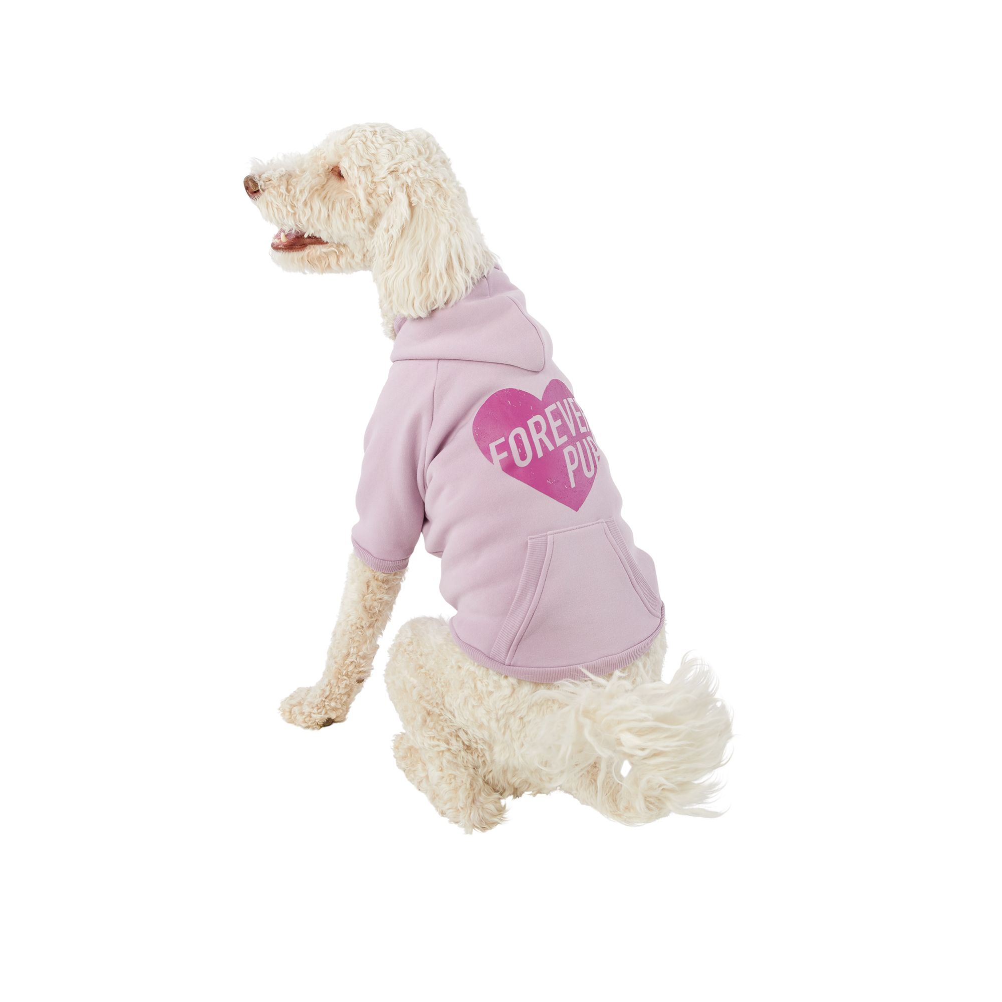 Top Paw® Back-To-School Trouble Maker Dog Vest