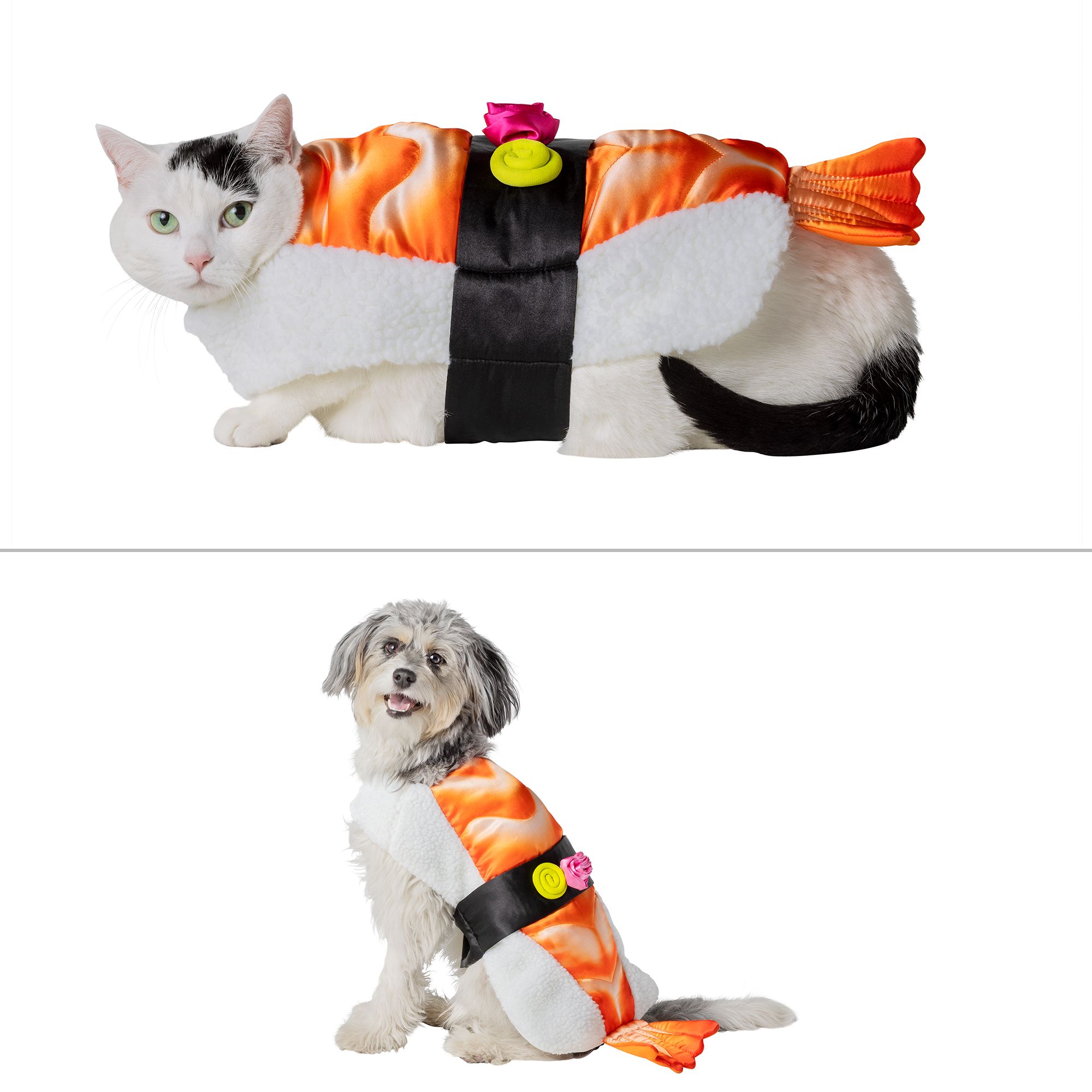 Thrills & Chills™ Halloween Sushi Dog & Cat Costume dog Costumes