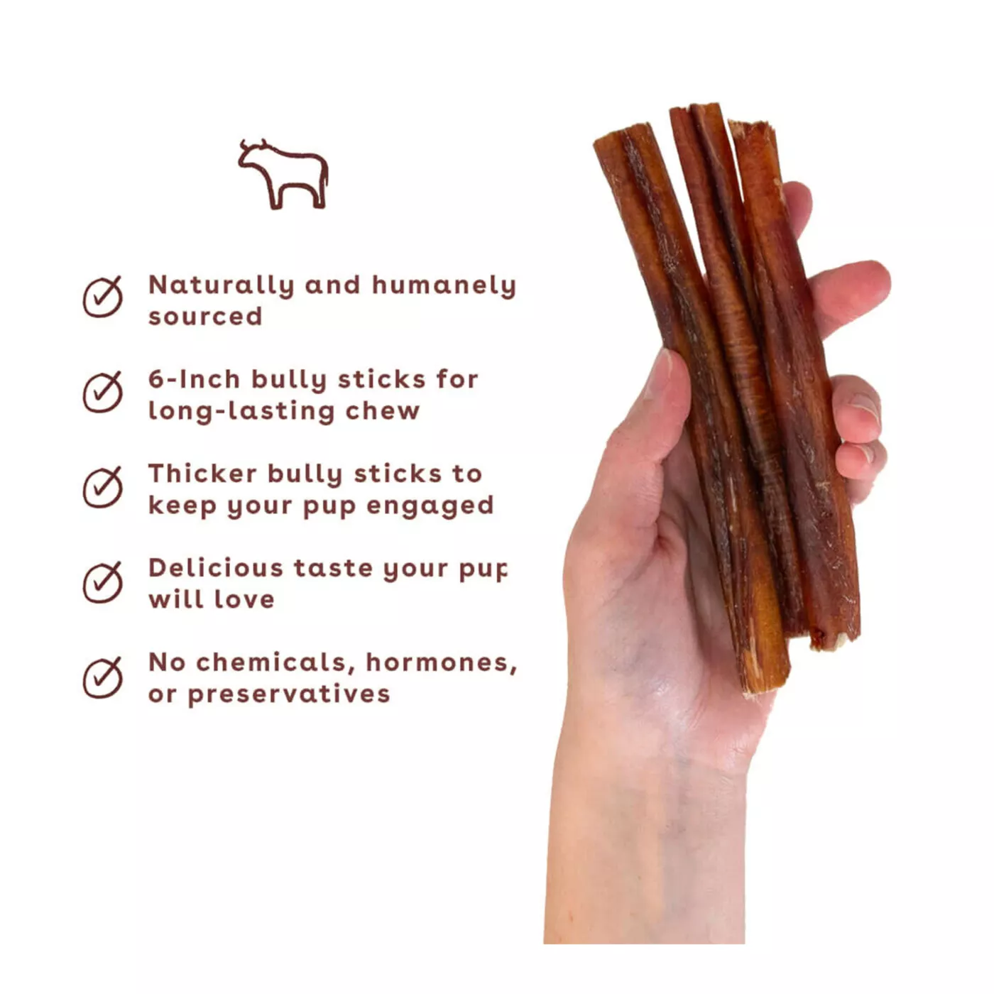 Bully sticks petsmart canada hotsell