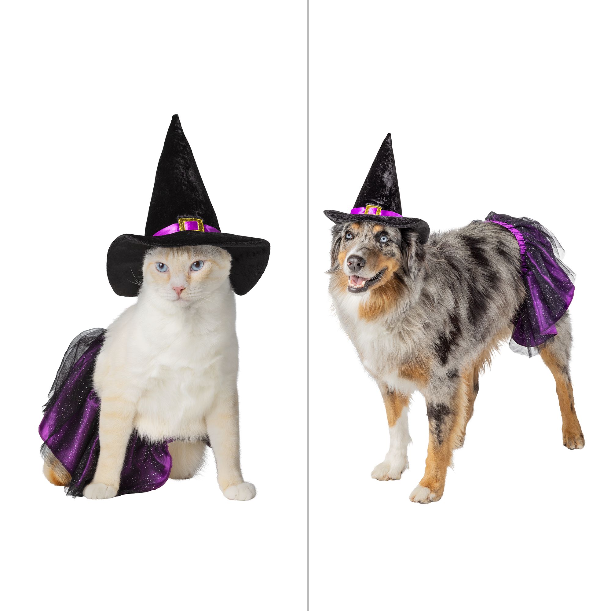 Horror4Kids on X: Petsmart is now selling Halloween costumes for