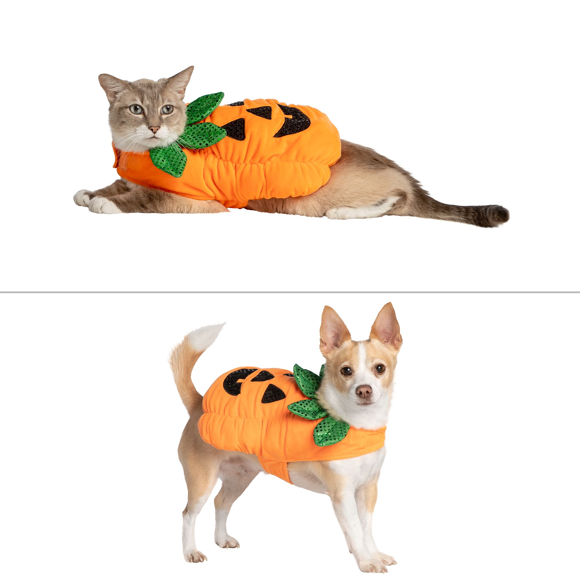 Horror4Kids on X: Petsmart is now selling Halloween costumes for