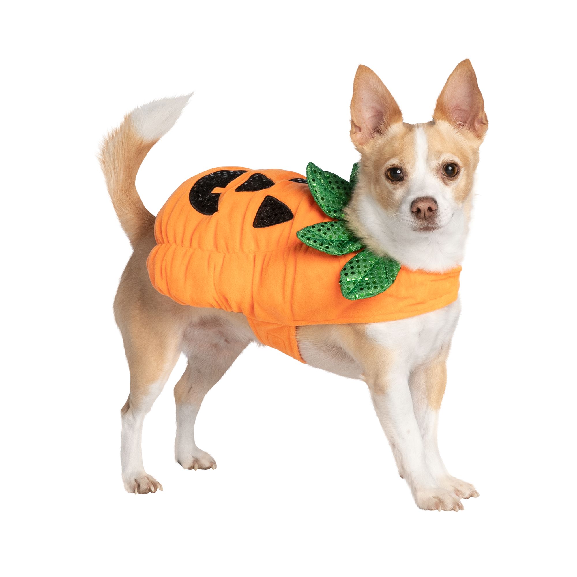 Best Halloween Dog Costume Deals For Your Furry Friend