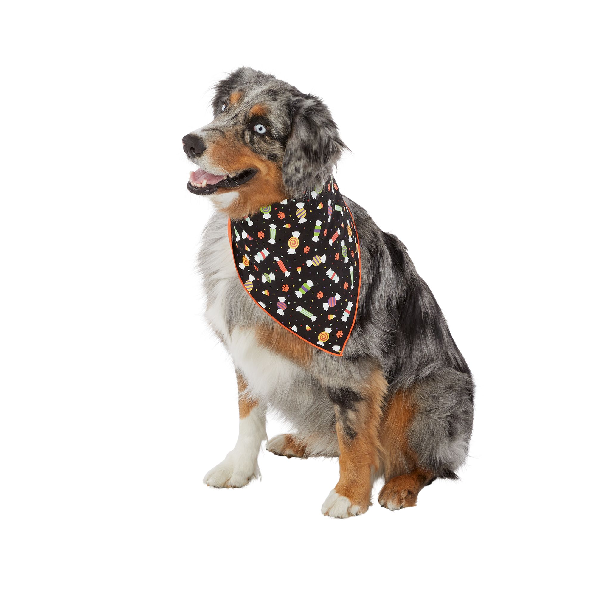 PetSmart Creates Halloween Howls and Tail Wags with Frightfully