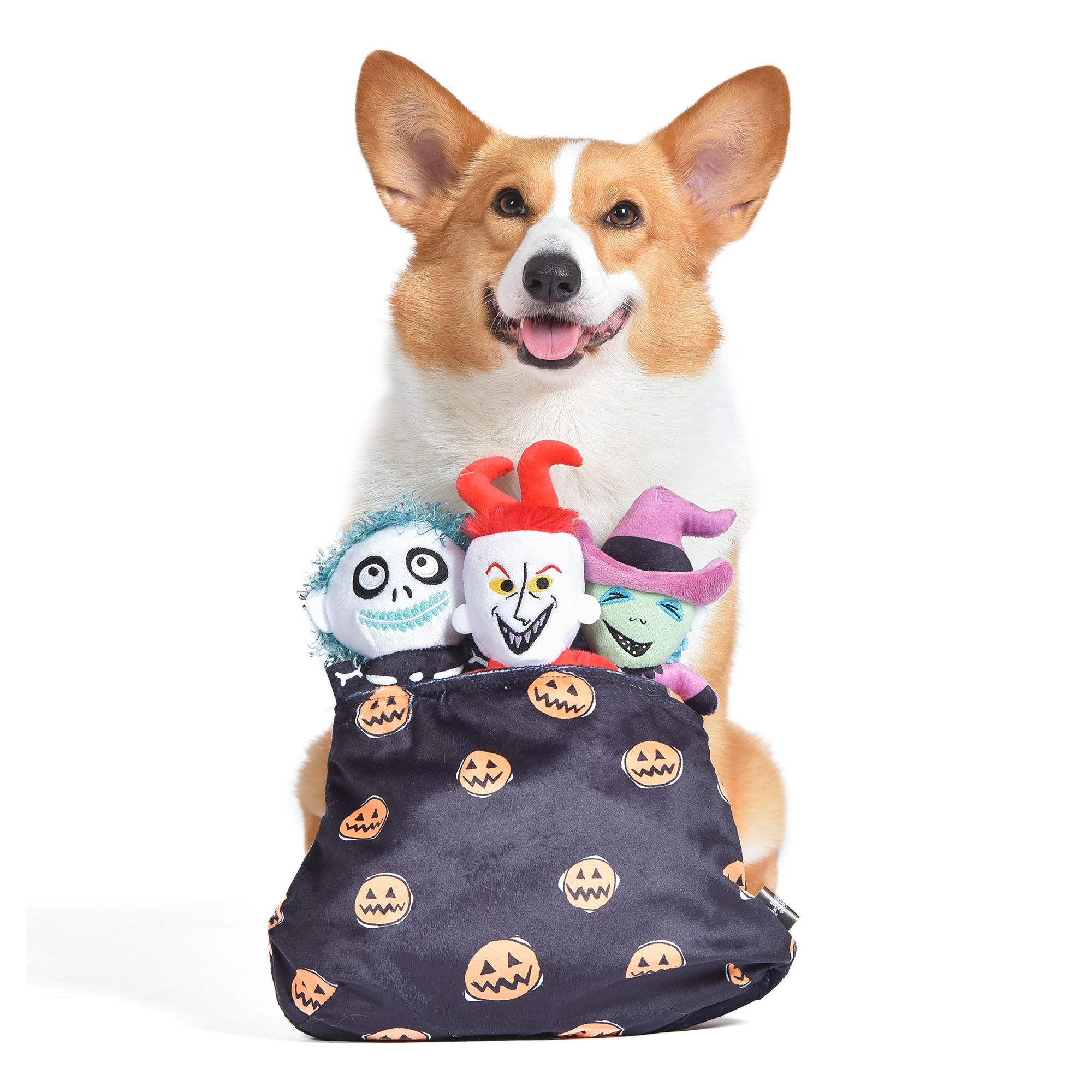 PetSmart unveils Halloween collection featuring adorable guinea