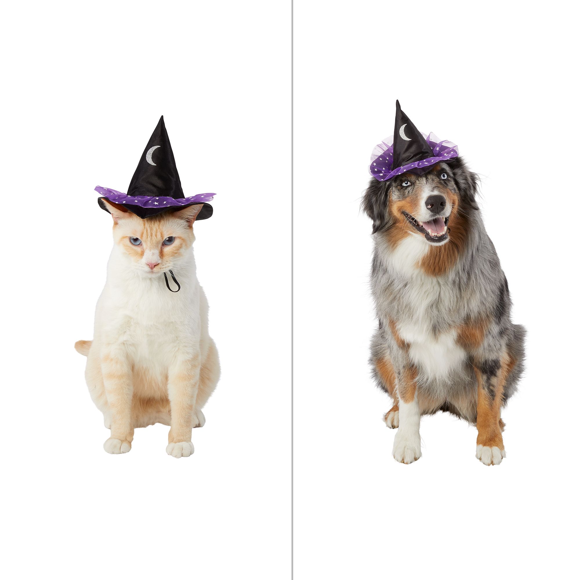 HALLOWEEN AT PETSMART * STORE WALKTHROUGH 2019 